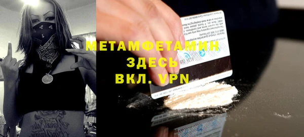 индика Алексин