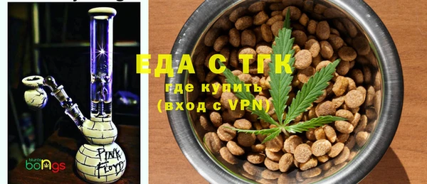 индика Алексин