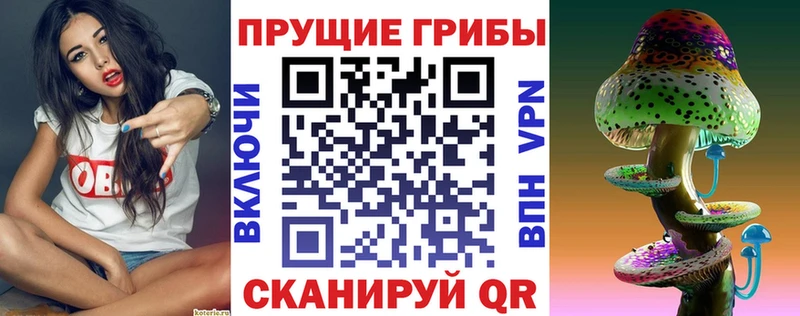 MEGA ONION  Хилок  Галлюциногенные грибы MAGIC MUSHROOMS 
